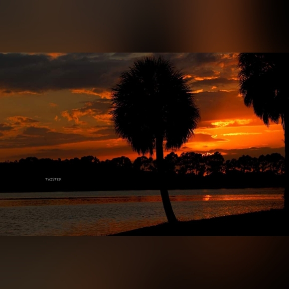 tWi$t€d™️ PoSh€® - Picture 14 of 17